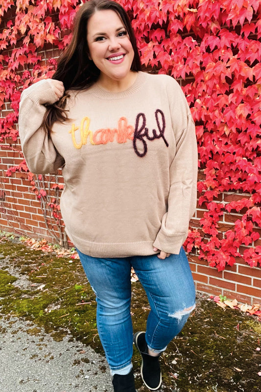 Feeling Thankful Taupe Pop Up Glittery Embroidery Sweater-Modish Lily, Tecumseh Michigan